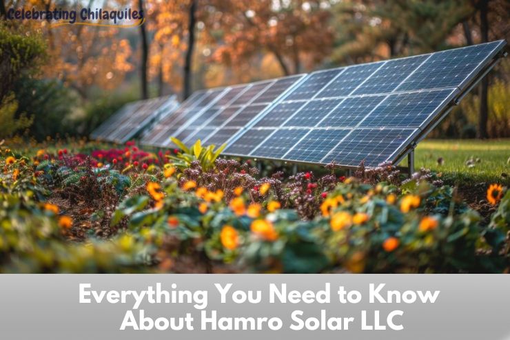 Everything You Need to Know About Hamro Solar LLC