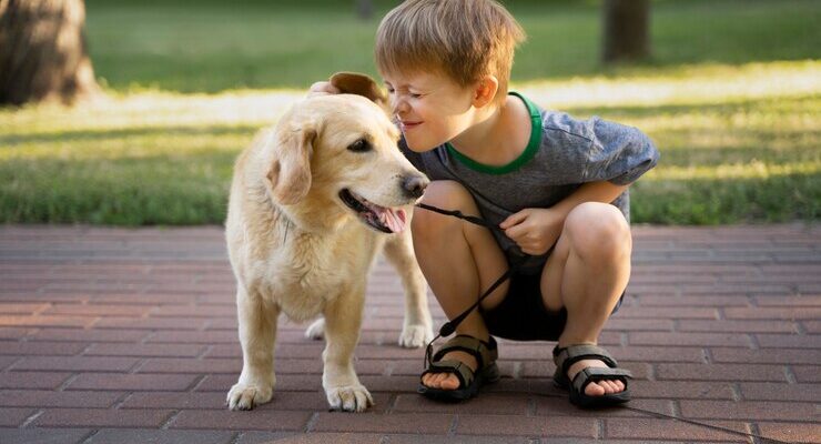 Puppy Training