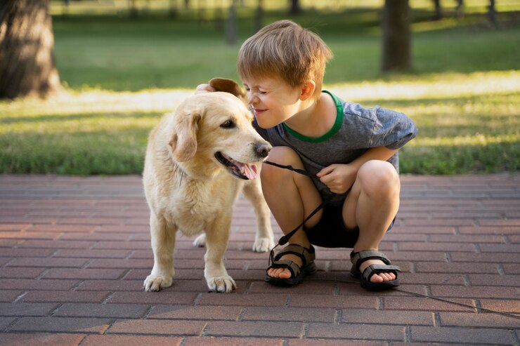 Puppy Training